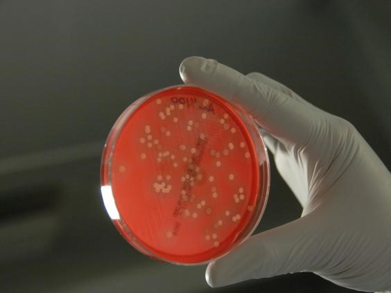 SEAWEED SHORTAGE PROMPTS CALLS TO RATION USE OF VITAL SCIENTIFIC RESOURCE