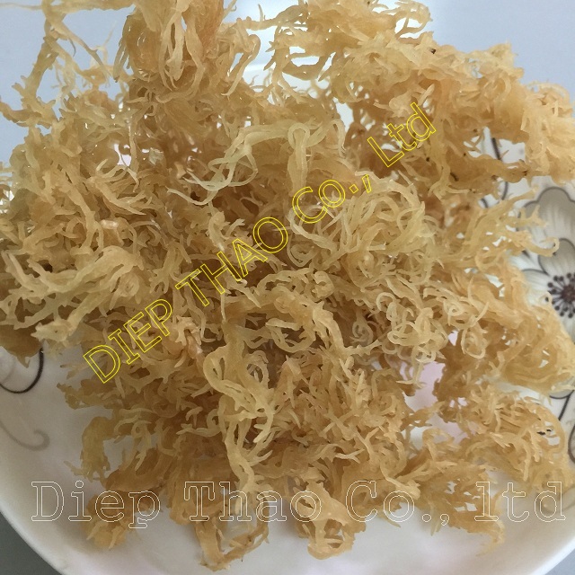 SUPER SEA MOSS