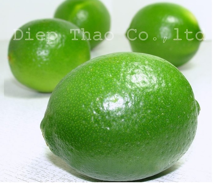 LEMON / LIME