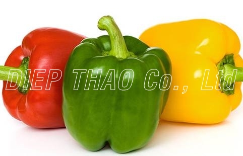 Bell pepper - Capsicum