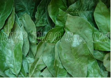 Dried graviola leaf