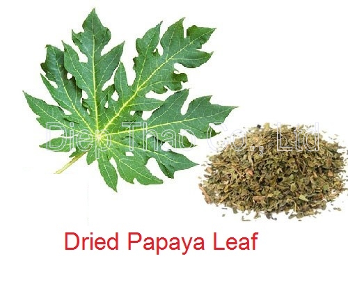Dried Papaya leaf