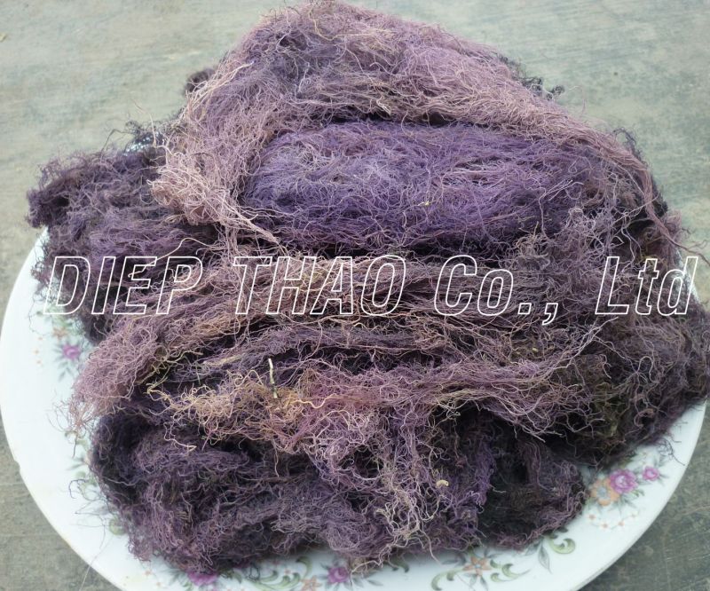 dried gracilaria  seaweed