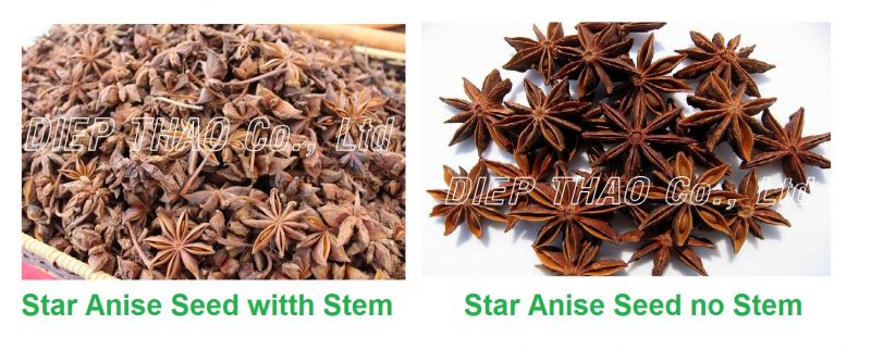 Star Anise Seed