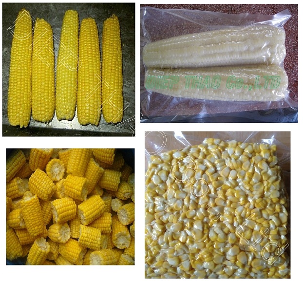 Sweet corn - maize